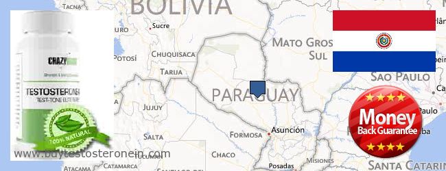 Où Acheter Testosterone en ligne Paraguay
